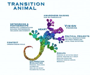 transition animal