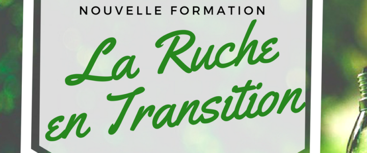 La Ruche: un weekend pour passer du bénévolat à l’entreprenariat La Ruche: un weekend pour passer du bénévolat à l’entreprenariat