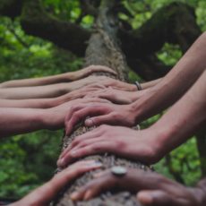 Amplifions la Transition ! Faire le point sur vos expériences personnelles de la Transition et de ses outils Amplifions la Transition ! Faire le point sur vos expériences personnelles de la Transition et de ses outils