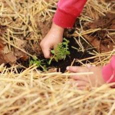 Les brèves des initiatives – Mai 2019 Les brèves des initiatives – Mai 2019
