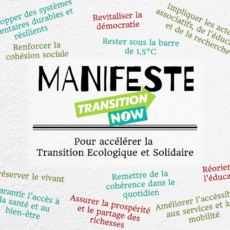 Le manifeste Transition Now – Accélérer la Transition ! Le manifeste Transition Now – Accélérer la Transition !
