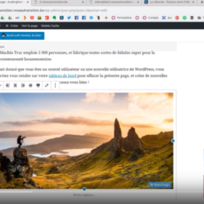 Comment démarrer avec le nouveau site « Essentiel » de votre initiative de Transition ? Comment démarrer avec le nouveau site « Essentiel » de votre initiative de Transition ?