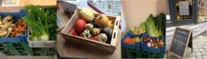 Le "bio d'ici", ou comment développer le maraîchage local à Ath