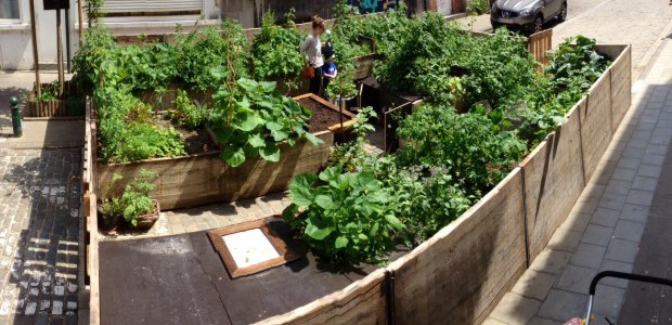 Potager Alhambra à Bruxelles Potager Alhambra à Bruxelles