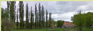 Cours de design en permaculture certifié > printemps 2016