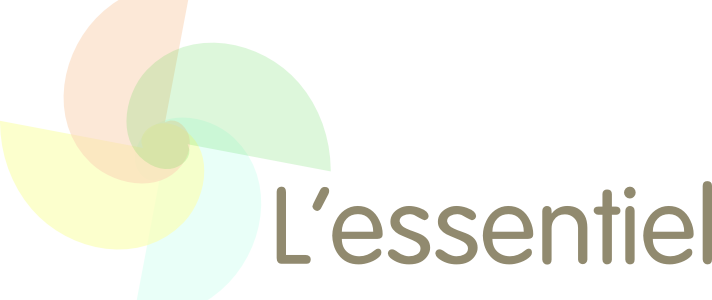 L’essentiel, un site web « clé sur porte » à destination des nouvelles initiatives L’essentiel, un site web « clé sur porte » à destination des nouvelles initiatives