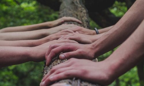 Amplifions la Transition ! Faire le point sur vos expériences personnelles de la Transition et de ses outils Amplifions la Transition ! Faire le point sur vos expériences personnelles de la Transition et de ses outils
