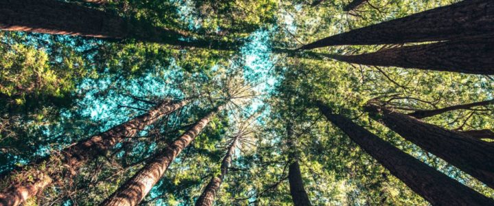 FORMATION ANNULEE: Animer la transition intérieure, à Liège les 6 et 7 novembre 2020 FORMATION ANNULEE: Animer la transition intérieure, à Liège les 6 et 7 novembre 2020