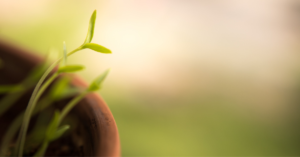 FORMATION : Découvrir la transition intérieure, les 5 et 6 novembre 2022 @Namur
