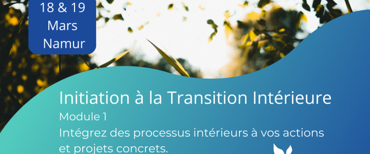 Formation: Initiation à la Transition Intérieure – Module 1 – 18 & 19 Mars – Namur