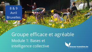 FORMATION : Groupe efficace et agréable – Module 1: Bases et intelligence collective – 8 & 9 avril – Bruxelles