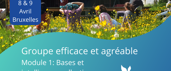 FORMATION : Groupe efficace et agréable – Module 1: Bases et intelligence collective – 8 & 9 avril – Bruxelles