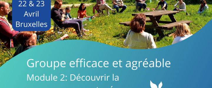 FORMATION : Groupe efficace et agréable Module 2: Découvrir la gouvernance partagée – 22 & 23 avril – Bruxelles FORMATION : Groupe efficace et agréable Module 2: Découvrir la gouvernance partagée – 22 & 23 avril – Bruxelles